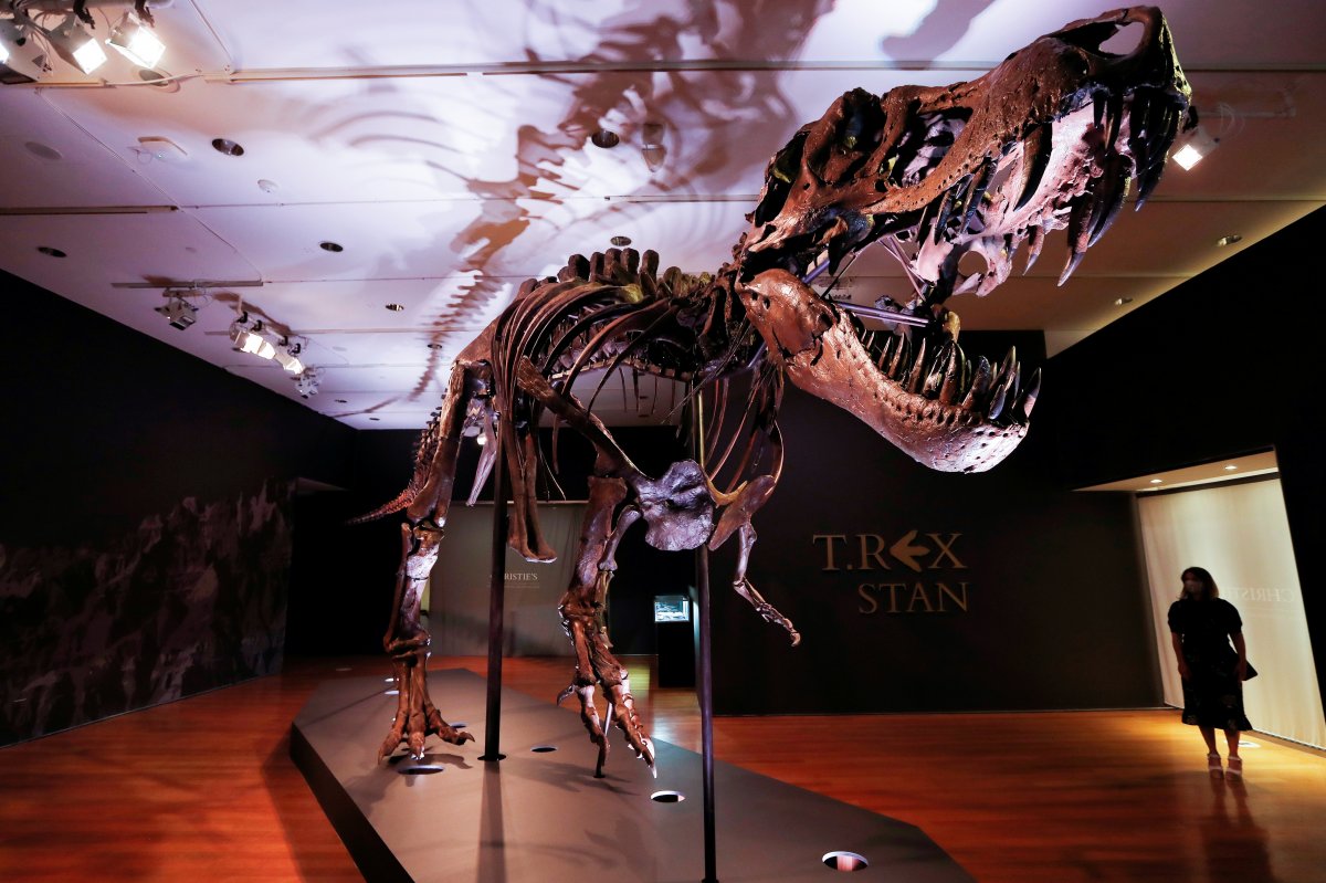 t-rex-dinozor-tipinin-sanilandan-epey-yavas-yurudugu-tespit-edildi-0-bcKUetQK.jpg