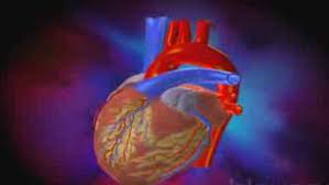 Kalp Yetmezliğini Tetikleyen Faktörler